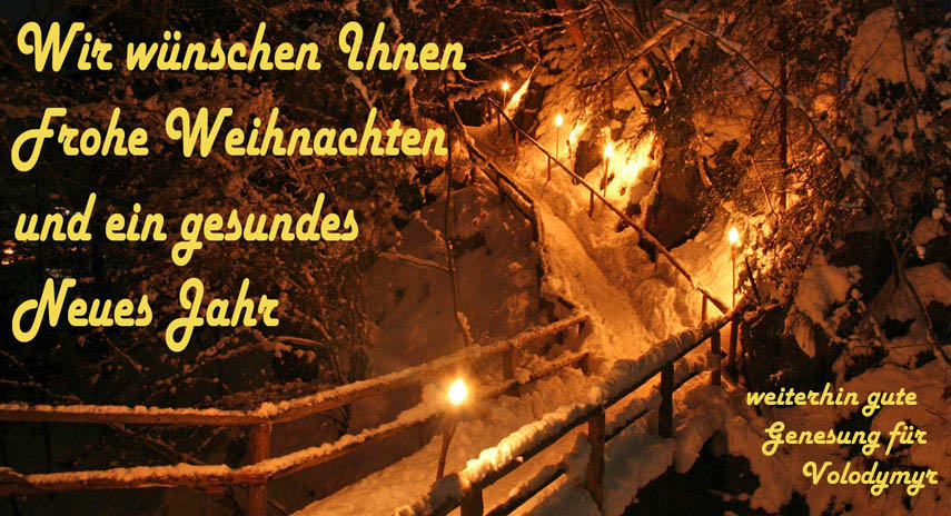 Wir wnschen Ihnen Frohe Weihnachten und ein gesundes Neues Jahr