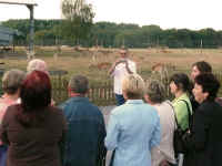 Besichtigung des Damwildes auf dem Hof Krog